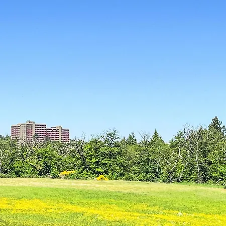 Flieder - A110 By Interhome * 라한슈타인