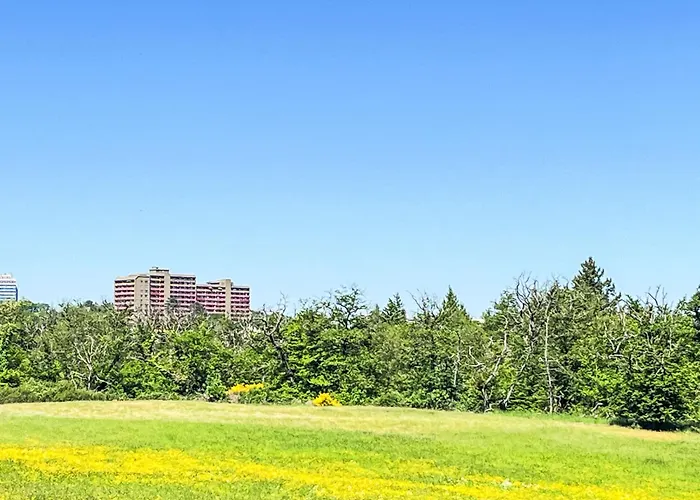 Flieder - A110 By Interhome * Lahnstein