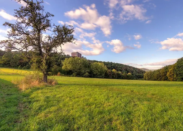 Flieder - A110 By Interhome Lahnstein